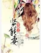 穿越之賢能妻