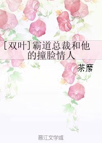 （BL/全职同人）[双叶]霸道总裁和他的撞脸情人