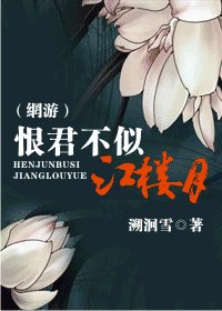 恨君不似江樓月