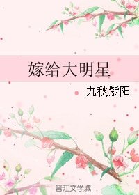 嫁给大明星